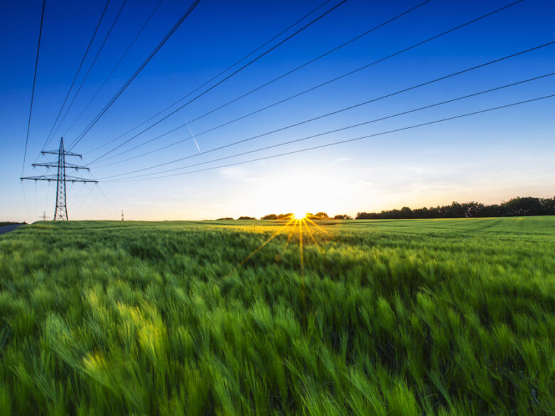 Transmission tower against a blue sky at sunset in a green field