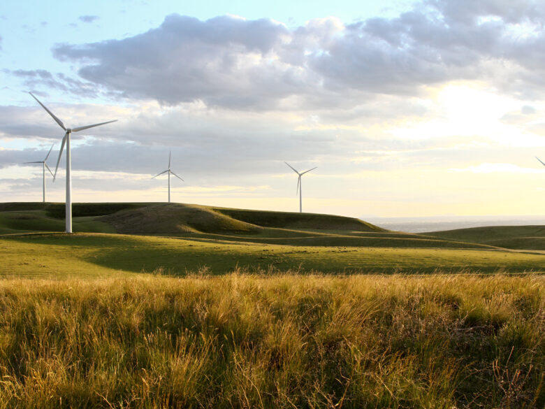 Windmill farm in grassy hillside at sunset