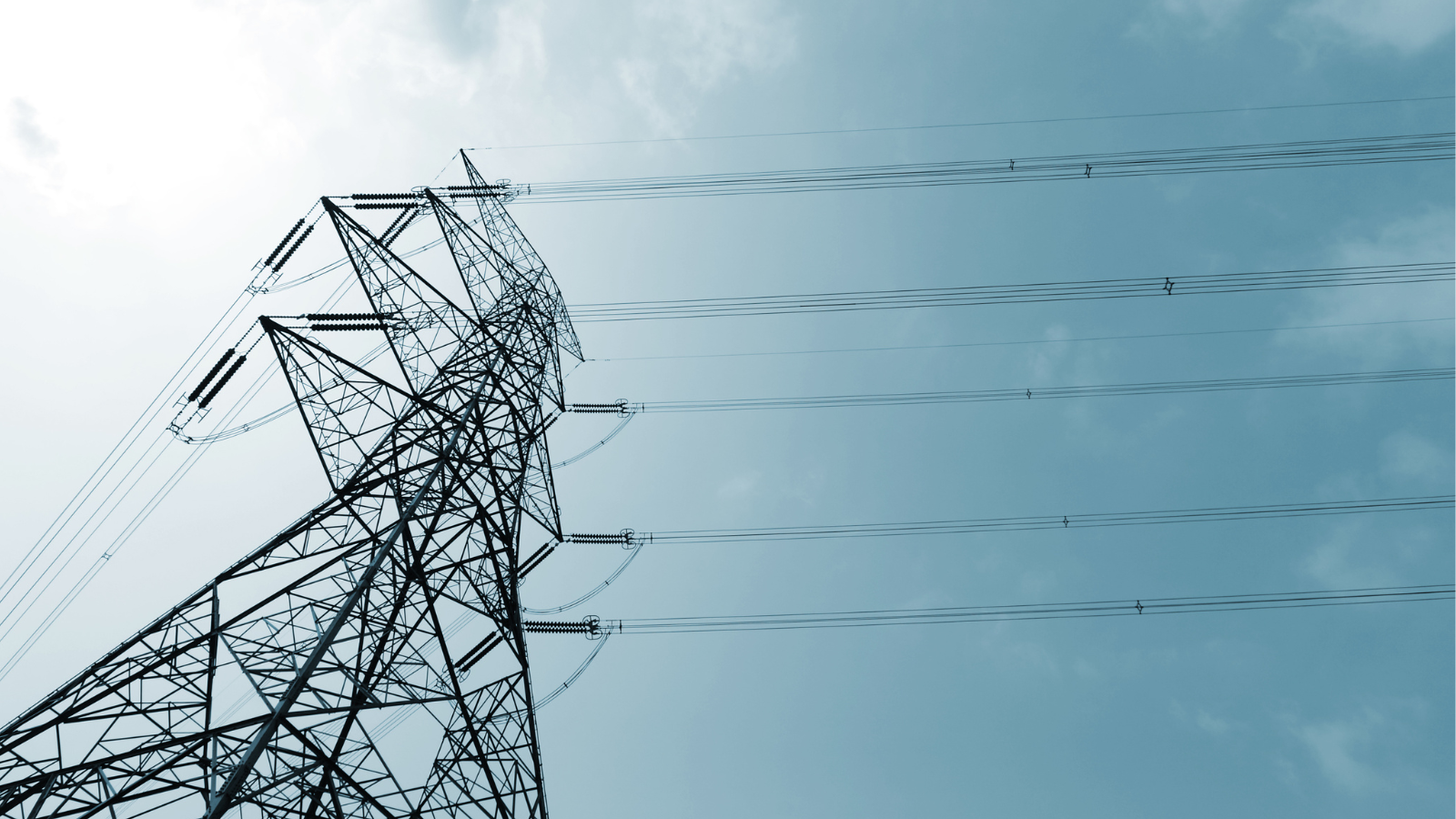 Transmission tower and its lines.