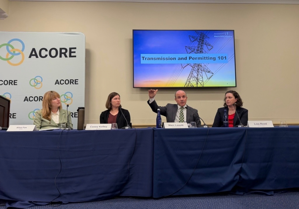 Panelists: Alisa Fox, Casey Kelley, Marc Levitt, and Liza Reed speaking at the USEA and ACORE event.
